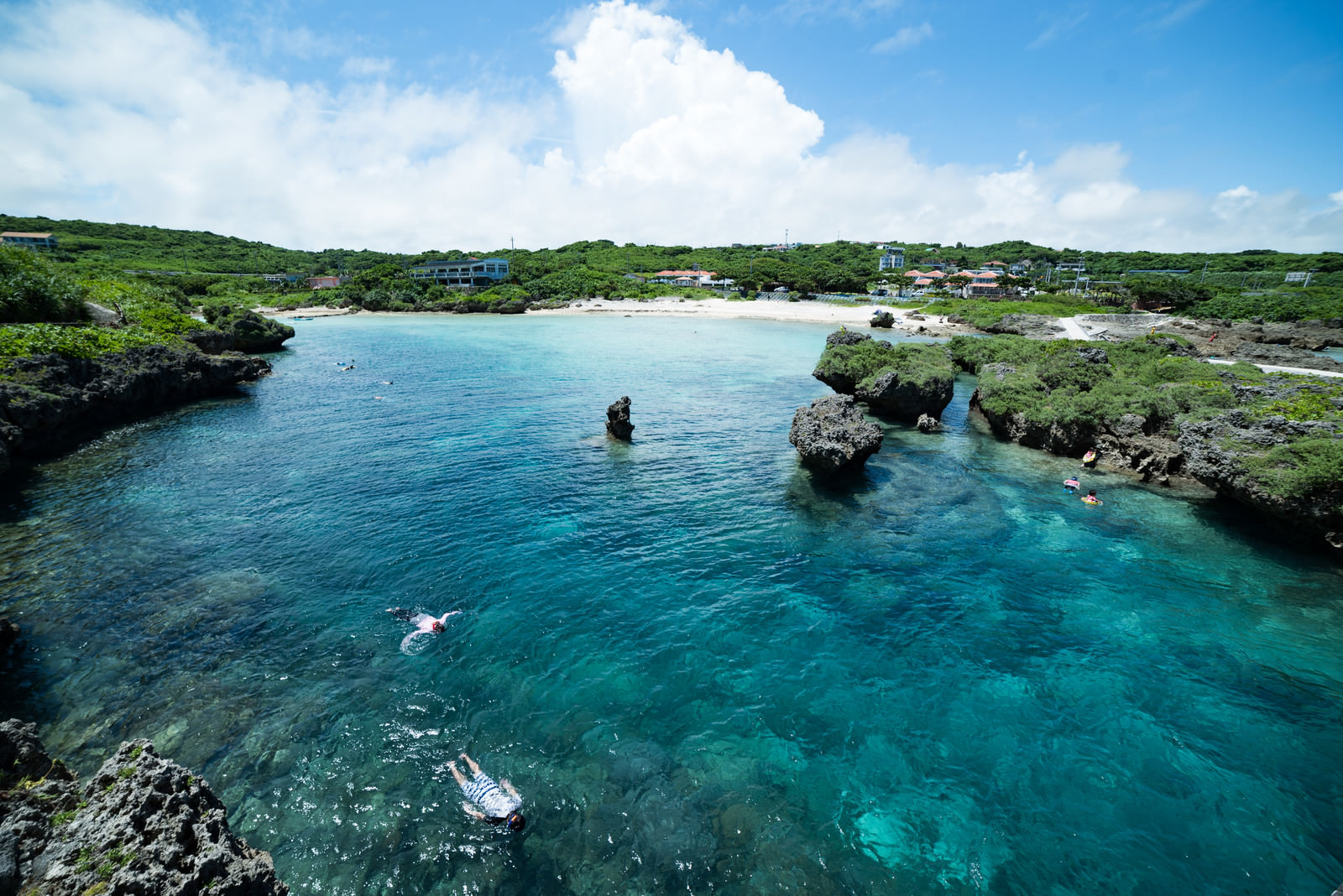 沖縄のウミガメシュノーケルの遭遇率100%は信じていい？